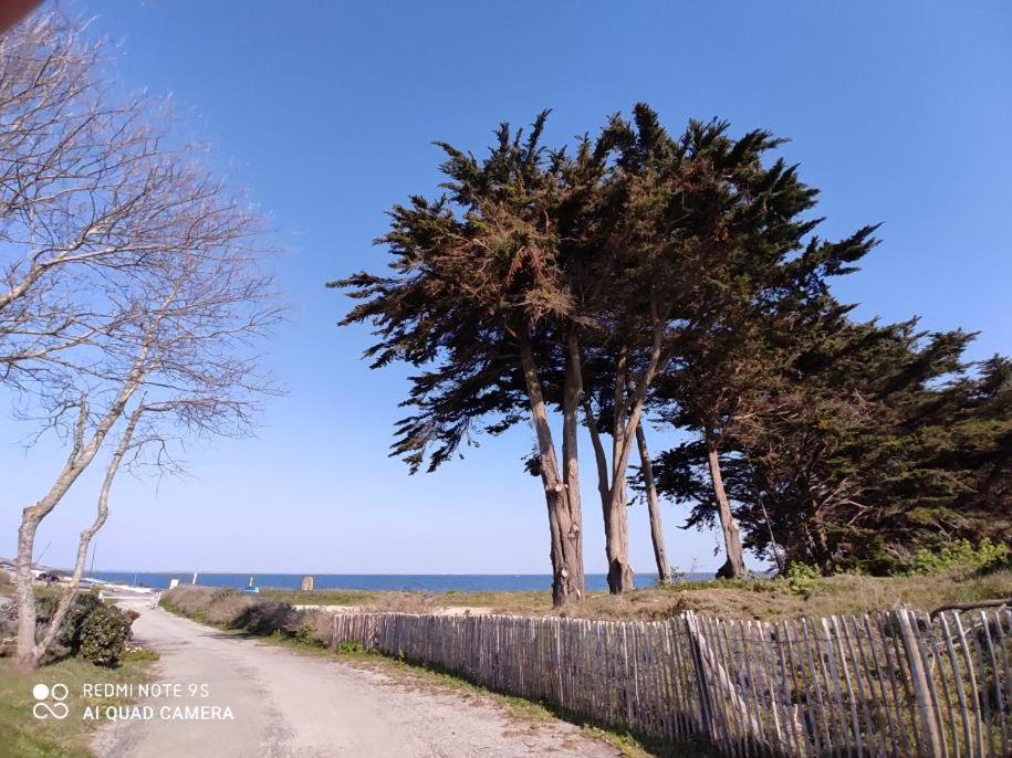 Ferienwohnung Logement En Rdc Port Haliguen Quiberon Exterior foto